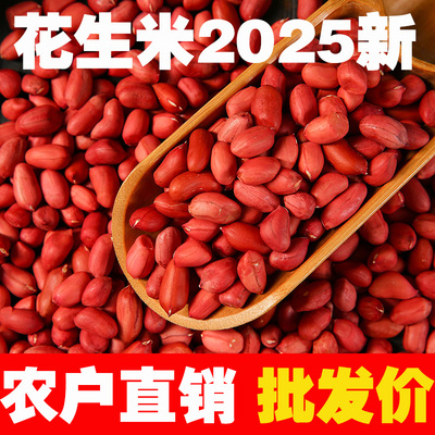 红皮花生米生新货生花生米2025年新鲜花生米生的衣小粒东北花生米