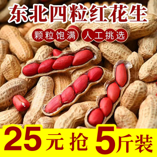 2025年新鲜红皮花生带壳生花生带壳新鲜晒干炒补生的血红衣花生货