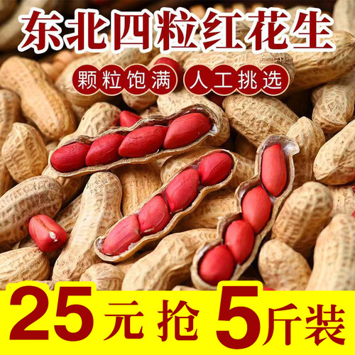 2025年新鲜红皮花生带壳生花生带壳新鲜晒干炒补生的血红衣花生货 - 封面