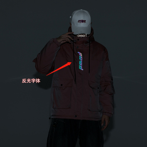 DJ293*日系大码加厚保暖冬2020 反光渐变 棉衣外套P115(控价138)图片
