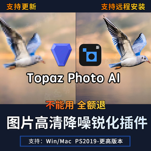 Topaz Photo AI人工智能图片放大变清晰降噪锐化聚焦去噪点PS插件