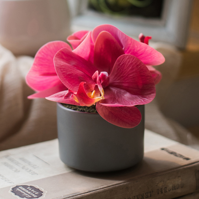桌面装饰假花蝴蝶兰小盆景摆件