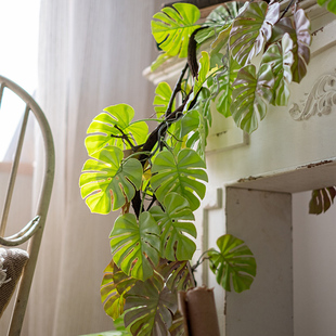 掬涵龟背叶仿真绿植藤蔓藤条仿生假植物吊兰垂吊植物壁挂装饰造景