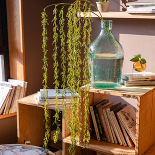垂吊植物仿真绿植藤蔓造景假花墙面装饰壁挂藤条吊兰绿植仿生植物