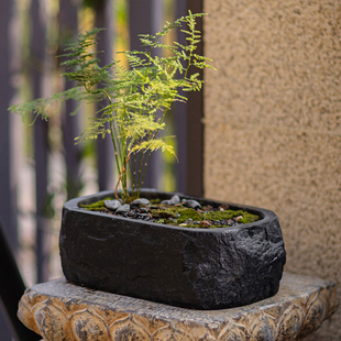 禅意花盆复古中式茶室茶桌装饰造景摆件古风假山文竹绿植盆景花盆