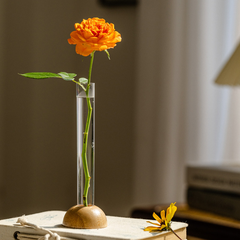 试管小花瓶摆件高级感桌面装饰简约ins风单支一枝花插花水培器皿,家居饰品,花瓶,淘宝优惠券,粉丝福利购,淘宝优惠卷