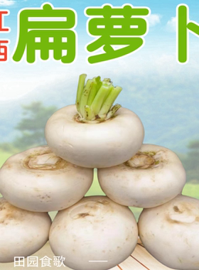江西扁萝卜盘菜头新鲜农家自种大头菜吉安永丰县特产当季蔬菜现摘