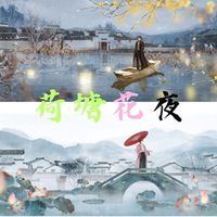 盜墓筆記同人周邊-黑花-荷塘花夜-拍立得明信片觸感銀卡-現(xiàn)貨