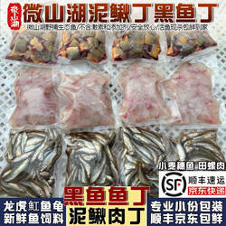 微山湖新鲜黑鱼丁泥鳅丁乌龟喂养饲料龙鱼虎魟鱼口粮河虾螺肉顺丰