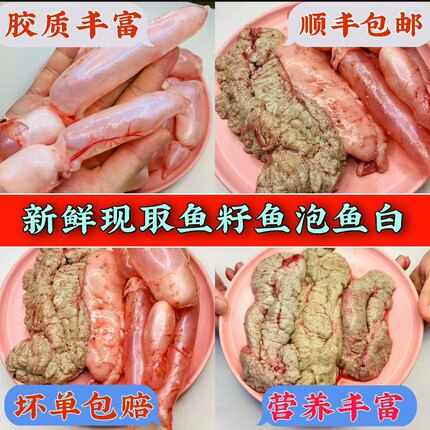 冷链包邮淡水大鱼鱼籽鱼泡鱼白鱼杂新鲜鱼蛋花胶鱼卵鲜活真空包装