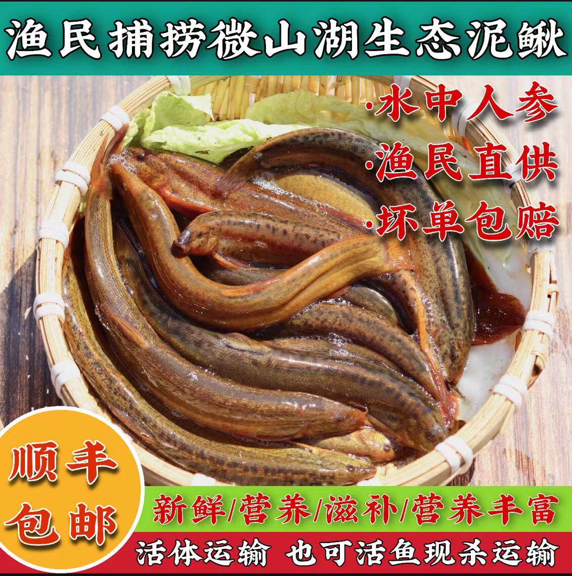 泥鳅野淡水湖活体鲜活青鳅黄鳅现杀活发土食用滋补送礼孕妇炖汤