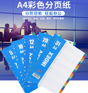 分页纸彩色塑料11孔标签索引页活页夹隔页纸a4文件管理分隔页便签