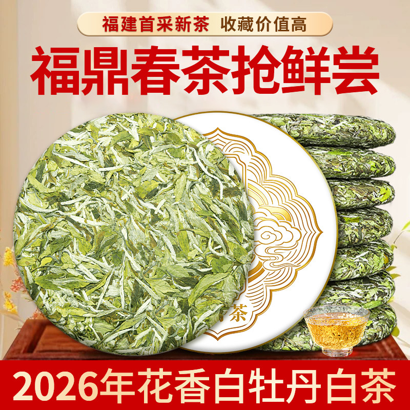2026新茶福建福鼎白牡丹高山明前荒野花香正宗白茶茶饼整提大份量