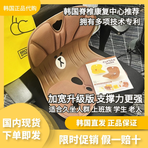 韩国进口矫正坐姿护腰靠垫现货