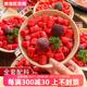 芋圆果酱火锅串串甜品糖水铺原料专用 杨梅冰汤圆商用500g网红爆款