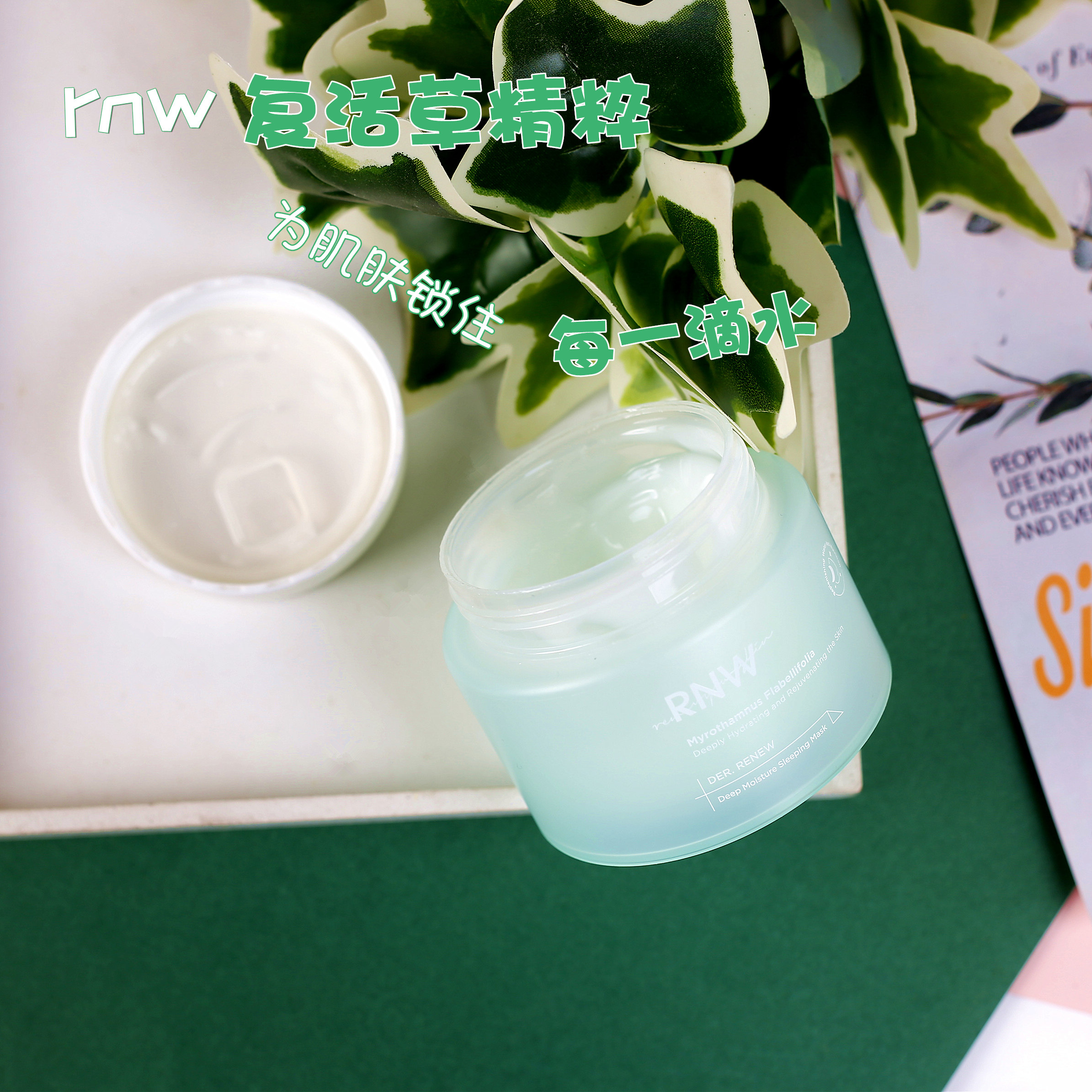 韩国rnw复活草睡眠面膜冰膜零点修复补水保湿清爽不粘免洗涂抹式