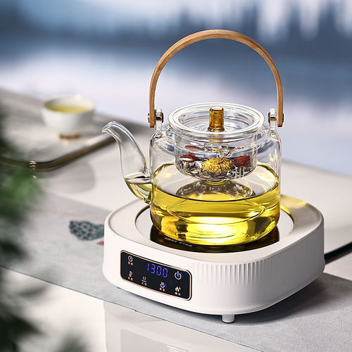 诺洁仕迷你茶炉多功能烧水煮茶炉