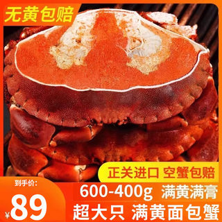 面包蟹即食海鲜特大黄金蟹鲜活螃蟹熟冻梭子蟹珍宝蟹超大海蟹新鲜