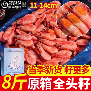 北极虾头籽北极甜虾腹籽冰虾元宝虾鲜活速冻带籽新鲜冷冻即食海鲜