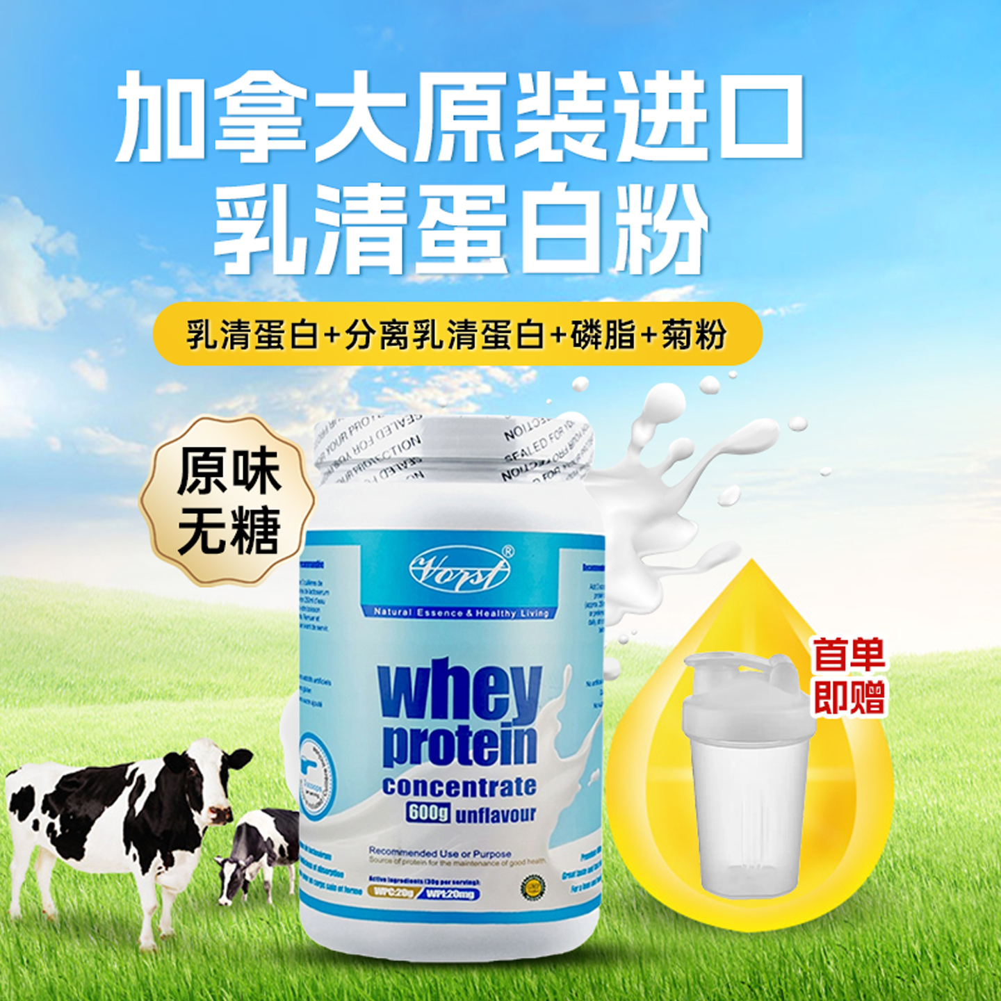 VORST进口乳清蛋白粉菊粉好吸收