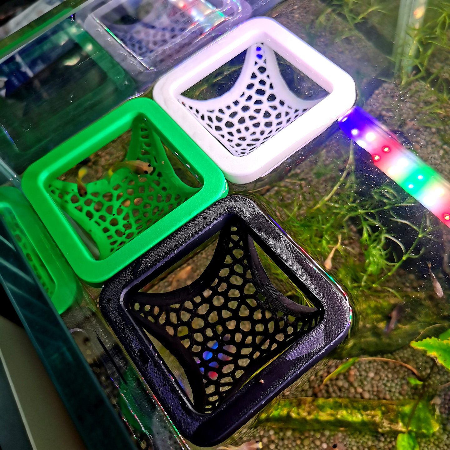 方形4孔斗鱼床方形喂食圈鱼虾飘浮躲避屋鱼缸装饰斗鱼神器3D打印