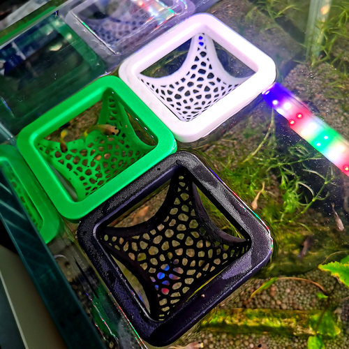 方形斗鱼床斗鱼喂食圈4孔设计