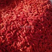 1斤宁夏枸杞子新货中小颗粒不粘团装 包邮 干净枸杞5斤散装 熬粥泡酒