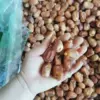 Товары от 木泡泡品质玩具