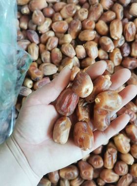 新货2斤黄金椰枣1斤伊拉克零吃椰枣袋装休闲零食黄椰枣包邮