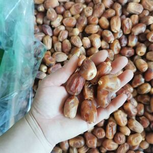 新货2斤黄金椰枣1斤伊拉克零吃椰枣袋装休闲零食黄椰枣包邮