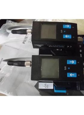 FESTOSDE1-D10-G2-H18-C-PU-M8 529955 572745