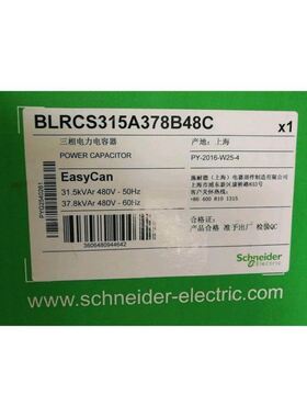 BLRCS315A378B48C/BLRCS315A378B48电容器