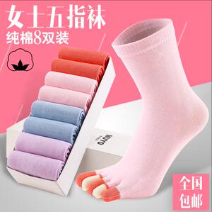 女秋冬款五指袜女中厚高帮防臭五指袜子中筒分脚趾女士纯棉女袜子