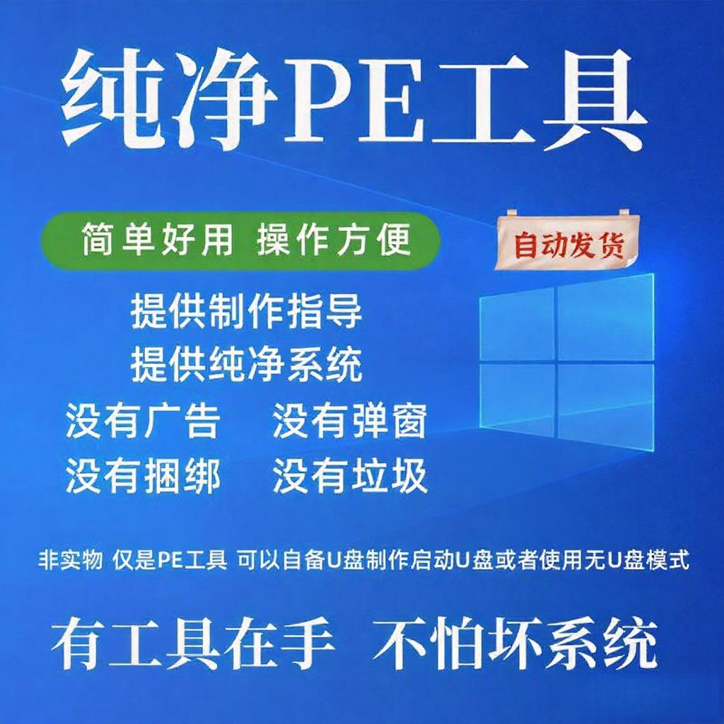 纯净PE系统启动U盘制作工具电商务服务
