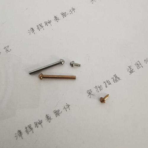 RARONE手表带螺丝杆8860268表耳杆棍柱配件雷诺女表链原装杆