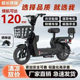 新国标电动车新款 电瓶车自行车助力代步小型高续航电车男女生成人
