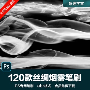 PS后期素材丝绸柔顺烟雾飘带线条飘逸顺滑效果设计背景abr笔刷