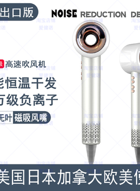 110V230V中空心高速专业电吹风机