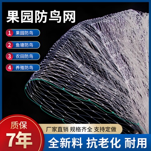 果园防鸟用网樱桃葡萄果树防鸟网鱼塘养殖天网尼龙网稻谷防护网