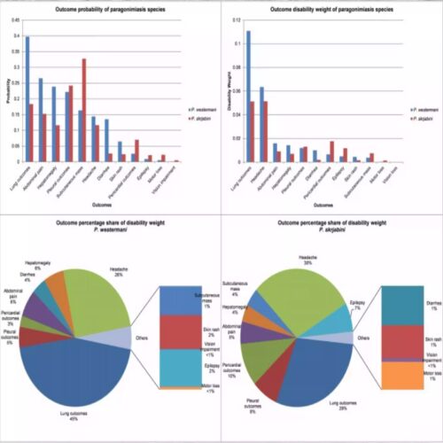 GBD数据库分析 选题思路医学sci发文 GBD全球疾病负担数据