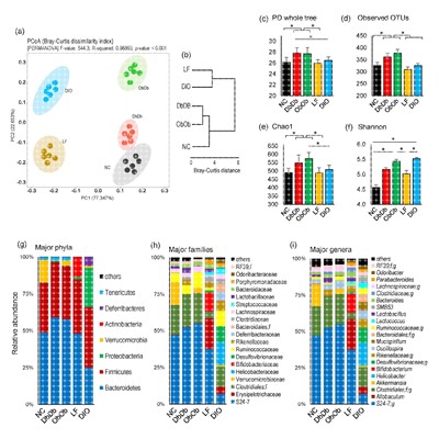 网络理学SCI文章发表视频教程选题预测物作用靶点验证实操全