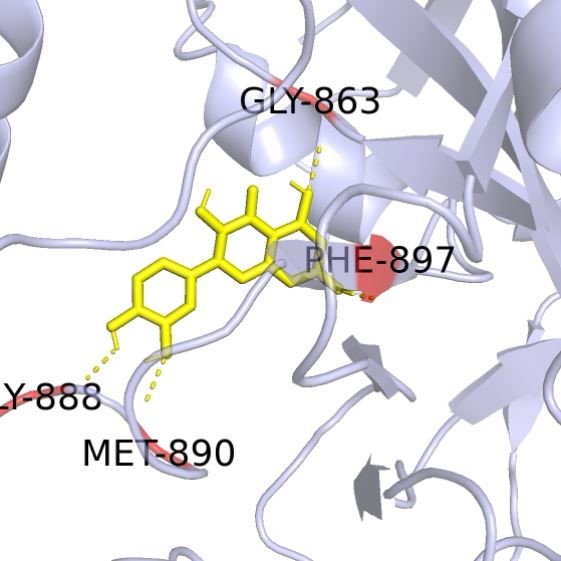 生信分析单细胞测序转录组数据分析基因组微生物表观代谢蛋白代做