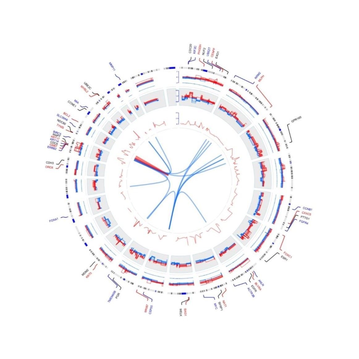 生信数据单细胞 TCGA GEO 生信图咨询服务
