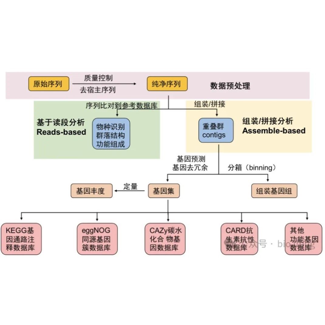 宏基因组数据分析/物种注释/组装拼接/基因预测/binning分箱/MAGs