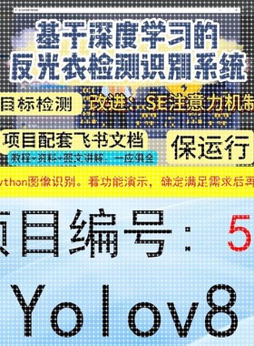 Python深度学习项目系统大全31-60(看好序号进行选择下单)