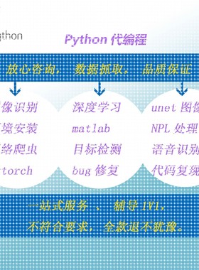 Python深度学习遥感医学图像识别目标检测语义分割代编程调试爬虫