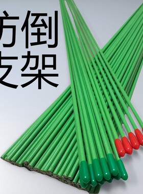 金钱树蝴蝶兰防倒支架支撑铁棍子