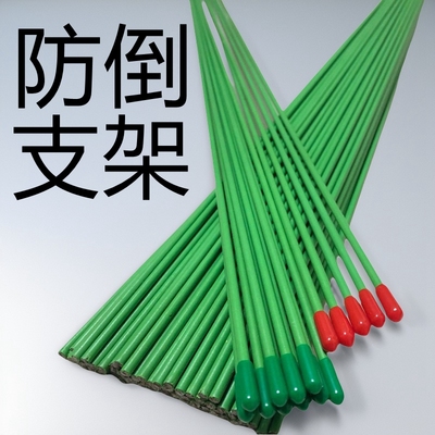 金钱树蝴蝶兰防倒支架支撑铁棍子