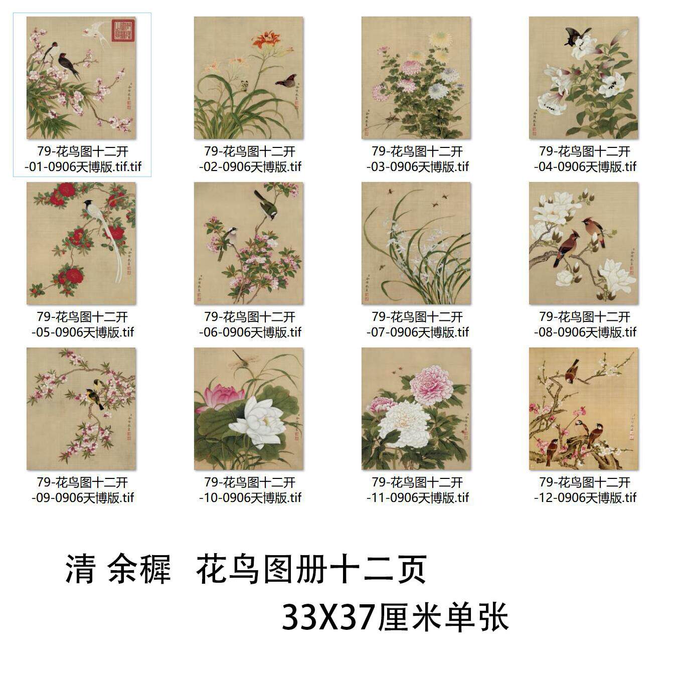 清 余稚 花鸟图册十二页 工笔花卉鸟虫册页微喷复制学习临摹画稿