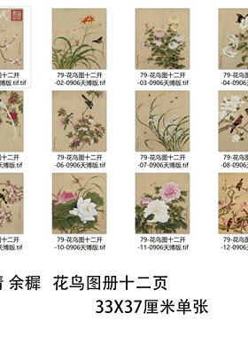 清 余稚 花鸟图册十二页 工笔花卉鸟虫册页微喷复制学习临摹画稿